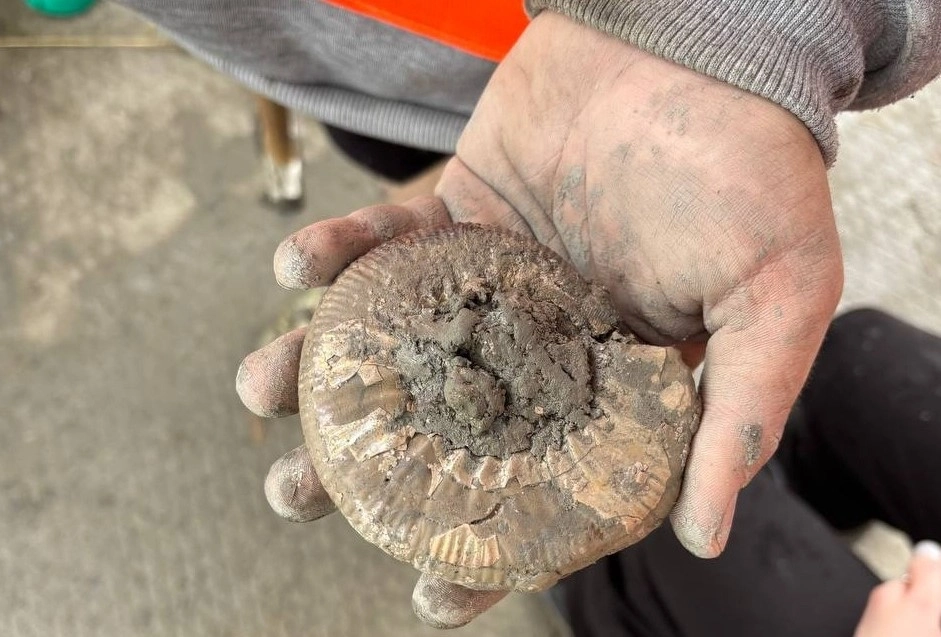 Романтика и сюрпризы карьеров