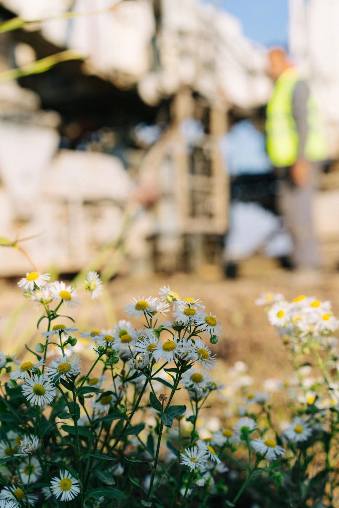 500 дней под нагрузкой, ни одного ремонта и ни рубля на содержание: что стало с первой бетонной дорогой на Кубани