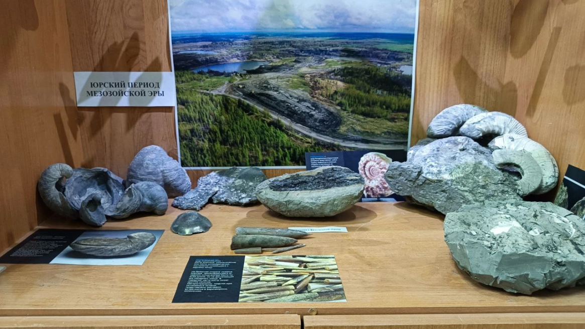 От мела до мезозоя: фокинские цементники превратили горный цех в музей древних находок