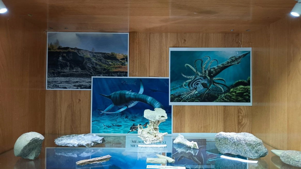 От мела до мезозоя: фокинские цементники превратили горный цех в музей древних находок