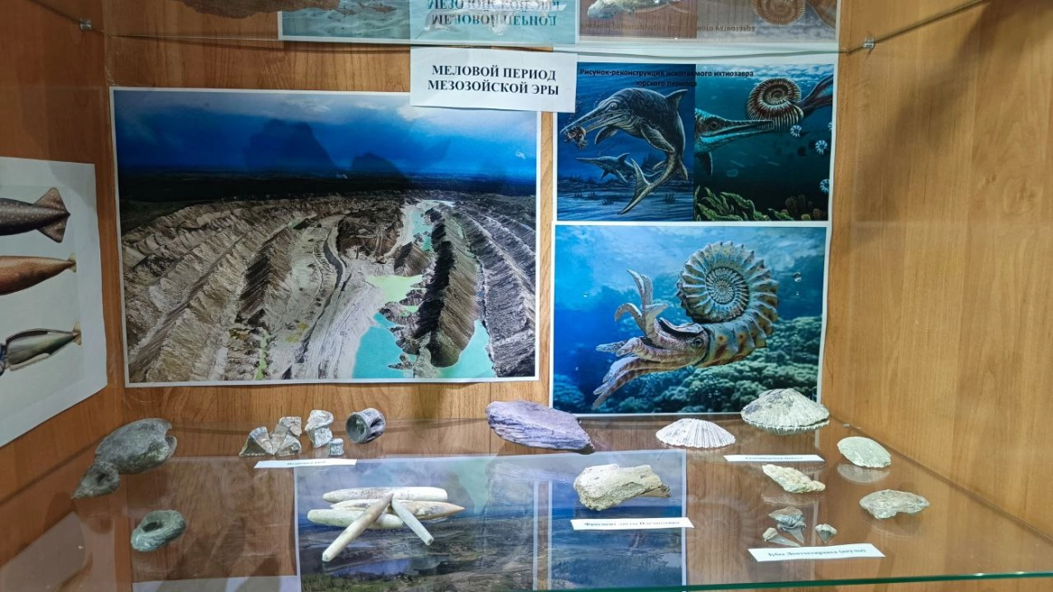 От мела до мезозоя: фокинские цементники превратили горный цех в музей древних находок