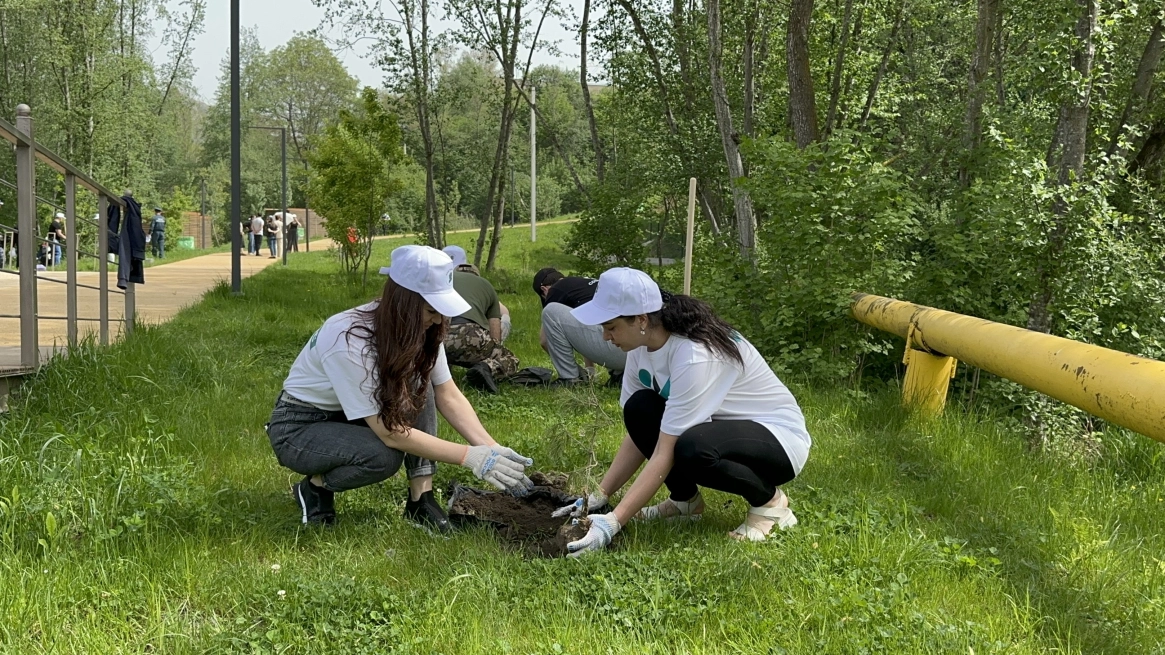 Сотрудники Кавказцемента высадили 150 молодых сосенок в рамках акции «Сад Памяти»