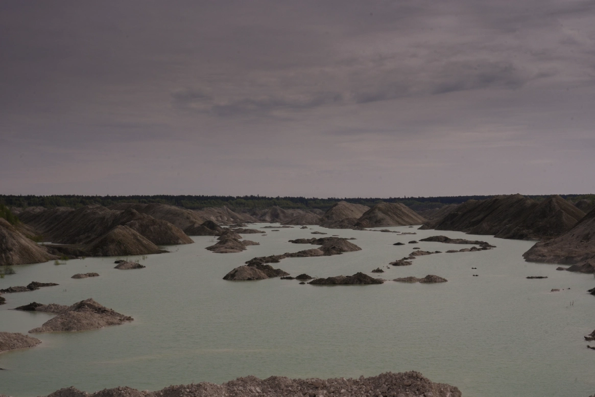 В карьерах под Фокино нашли останки «драконов» мелового периода