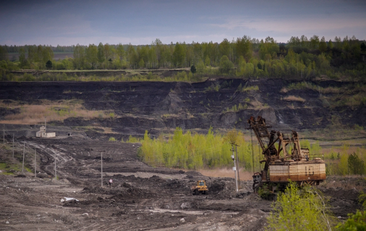 В карьерах под Фокино нашли останки «драконов» мелового периода