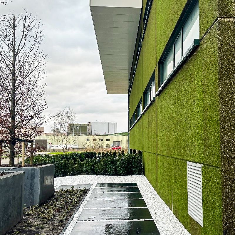 фасад зелень.jpg