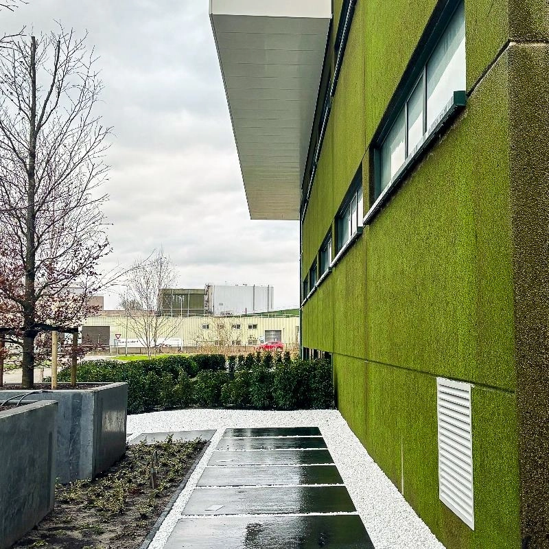 Цемент в искусстве: как стройматериал стал вдохновением для дизайнеров и архитекторов