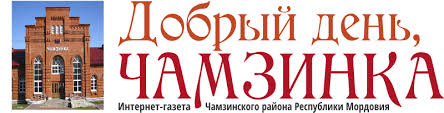 Логотип компании Добрый день, Чамзинка